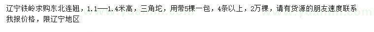 求購(gòu)高1.1-1.4米東北連翹