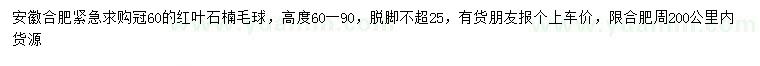 求購冠幅60公分紅葉石楠球