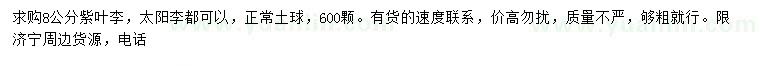 求購8公分紫葉李、太陽李