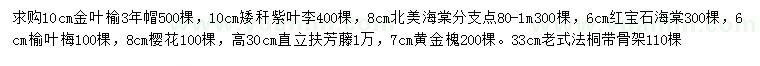 求購金葉榆、矮稈紫葉李、北美海棠等