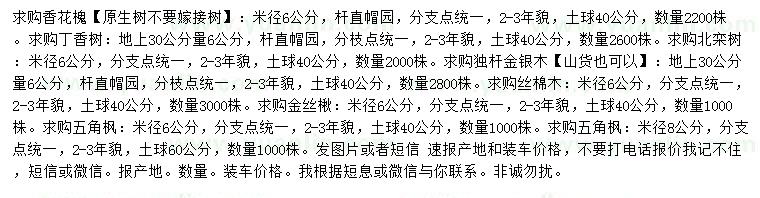 求購香花槐、丁香樹、北欒等