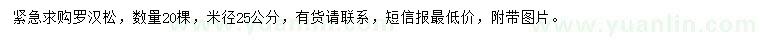 求購(gòu)米徑25公分羅漢松