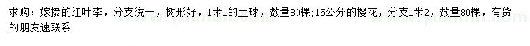 求購紅葉李、15公分櫻花