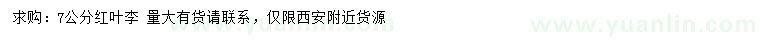 求購7公分紅葉李