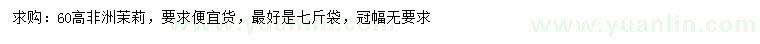 求購(gòu)高60公分非洲茉莉
