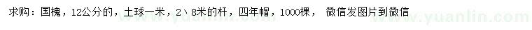 求購12公分國槐