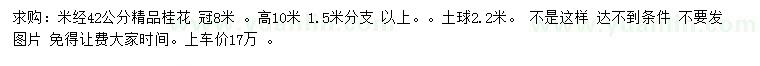 求購米徑42公分桂花