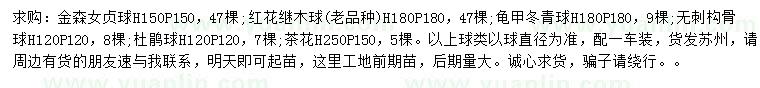 求購(gòu)金森女貞球、紅花繼木球、龜甲冬青球等