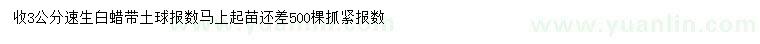 求購3公分速生白蠟