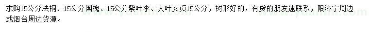 求購法桐、國槐、紫葉李等