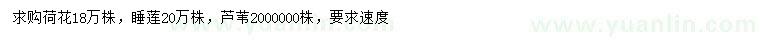 求購荷花、睡蓮、蘆葦