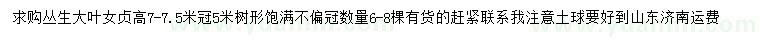 求購高7-7.5米叢生大葉女貞