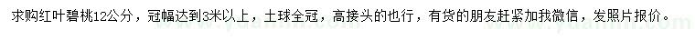 求購12公分紅葉碧桃