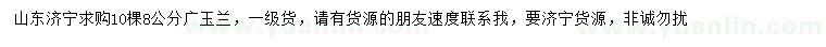 求購8公分廣玉蘭