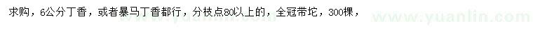 求購6公分丁香、暴馬丁香