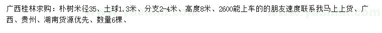 求購米徑35公分樸樹