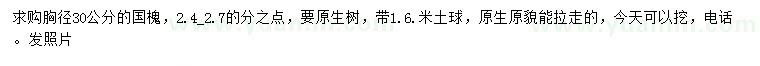 求購胸徑30公分國槐