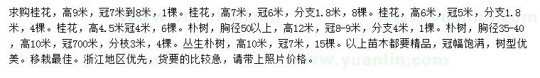 求購桂花、樸樹、叢生樸樹