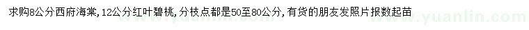 求購8公分西府海棠、12公分紅葉碧桃