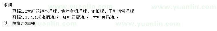 求購紅花繼木凈球、金葉女貞凈球、龍柏球等