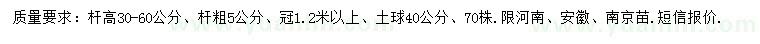 求購5公分丁香