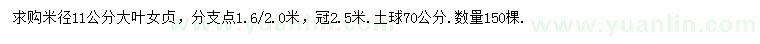求購米徑11公分大葉女貞