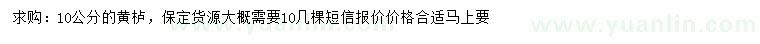 求購10公分黃櫨