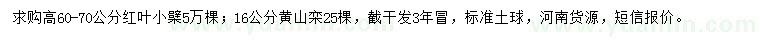 求購高60-70公分紅葉小檗、16公分黃山欒