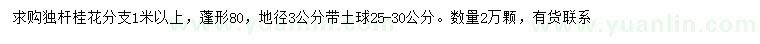 求購地徑3公分桂花
