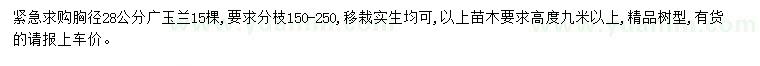 求購胸徑28公分廣玉蘭