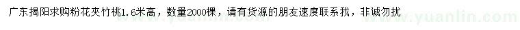 求購高1.6米粉花夾竹桃
