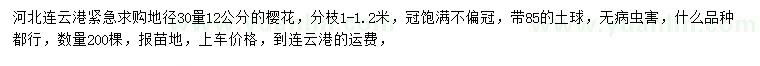 求購30量12公分櫻花