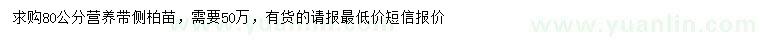 求購80公分側(cè)柏