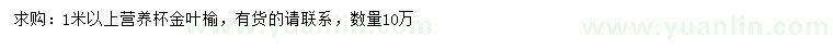 求購(gòu)1米以上金葉榆