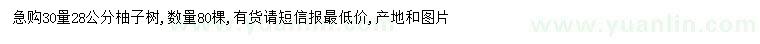 求購30量28公分柚子樹
