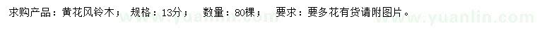求購13公分黃花風(fēng)鈴木