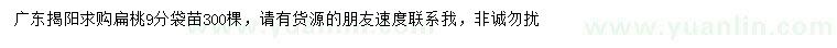 求購9公分扁桃