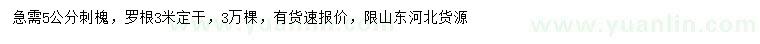 求購5公分刺槐