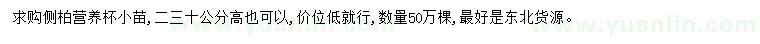 求購高20、30公分側柏