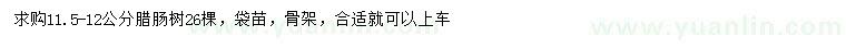 求購(gòu)11.5-12公分臘腸樹(shù)