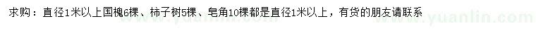 求購國槐、柿子樹、皂角