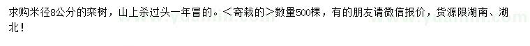 求購米徑8公分欒樹