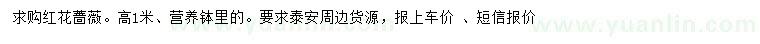 求購高1米紅花薔薇