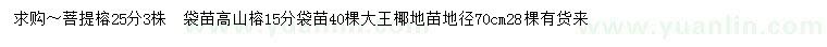 求購菩提榕、高山榕、大王椰