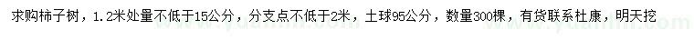 求購1.2米量15公分以上柿子樹(shù)