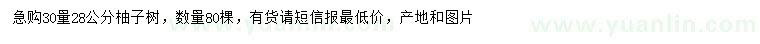 求購(gòu)30量28公分柚子樹(shù)