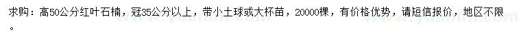 求購高50公分紅葉石楠