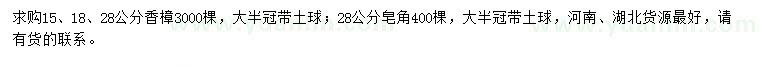 求購(gòu)15、18、28公分香樟、28公分皂角