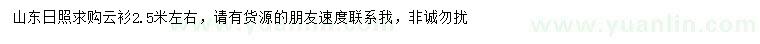 求購2.5米云杉