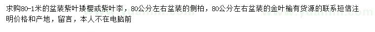 求購紫葉矮櫻、紫葉李、側(cè)柏等